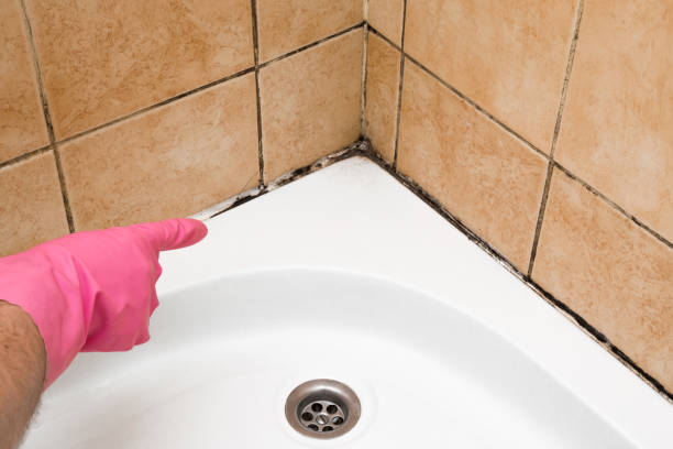 Best Preventive Mold Services in Benson, UT